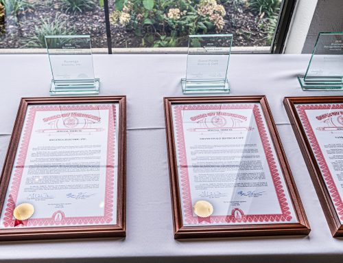 Recipients Honored at Business Recognition Award Luncheon